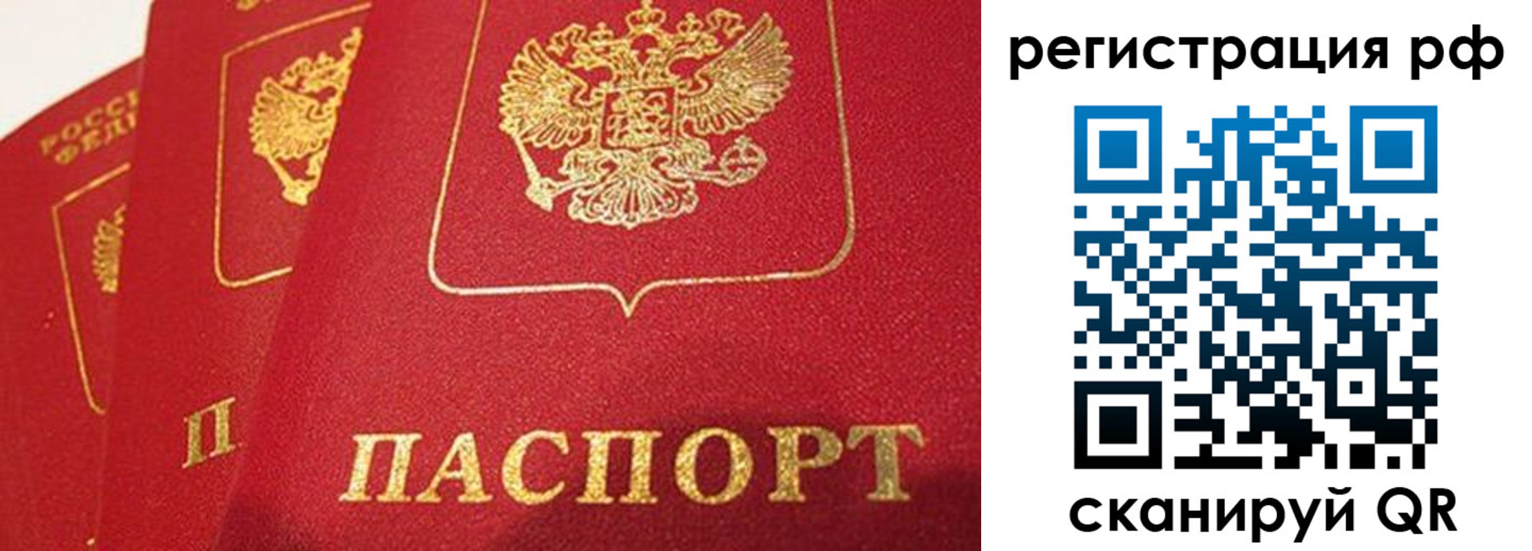 прописка поиск в Козельске